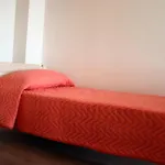 Exclusive Tirana