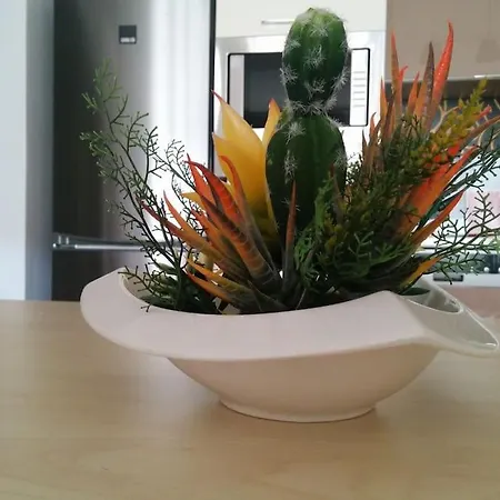Appartement Exclusive *
